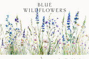 Waterolor Floral Borders Bundle, a Decorative Illustration by Lana Elanor (Thumbnail 5 of 97)