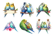 Watercolor Parakeet Couple Clipart, an Illustration by Daily.Designs (Thumbnail 2 of 5)