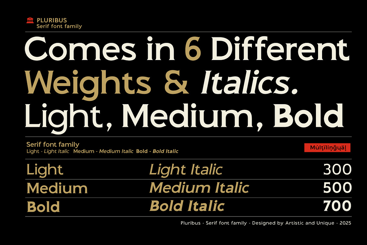 Pluribus - Serif font family, a Serif Font by Artistic & Unique (Photo 2 of 15)