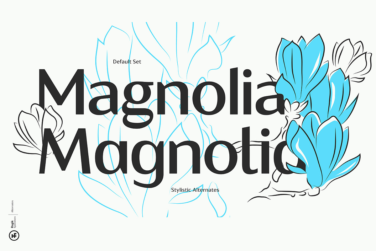 Ragik Sans, a Sans Serif Font by Hurufatfont (Photo 11 of 14)