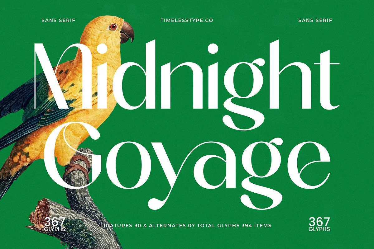 Midnight Goyage Modern Sans Serif, a Sans Serif Font by timelesstype.co (Photo 1 of 20)