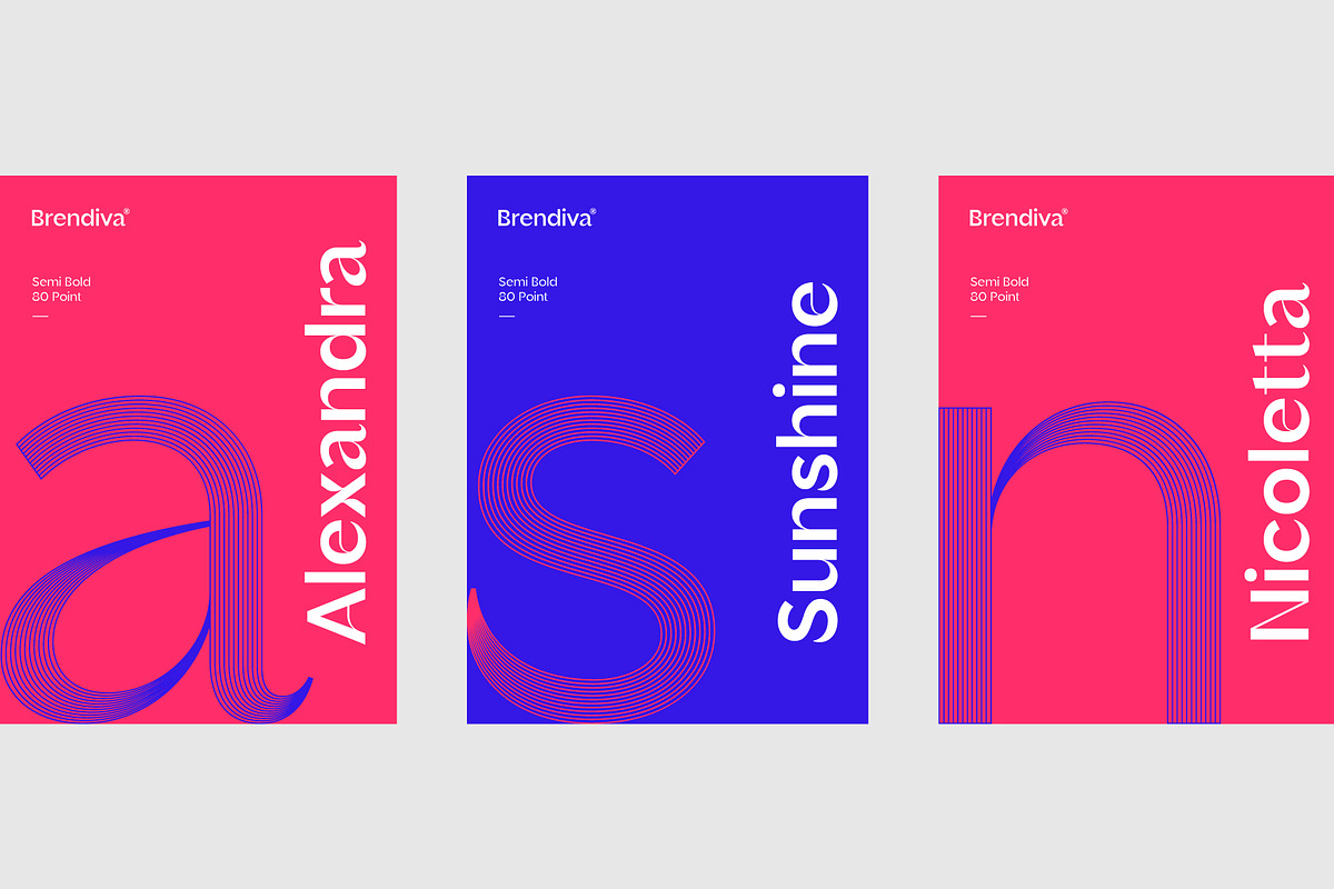 Brendiva Font Family, a Sans Serif Font by Digitype Studio (Photo 6 of 10)