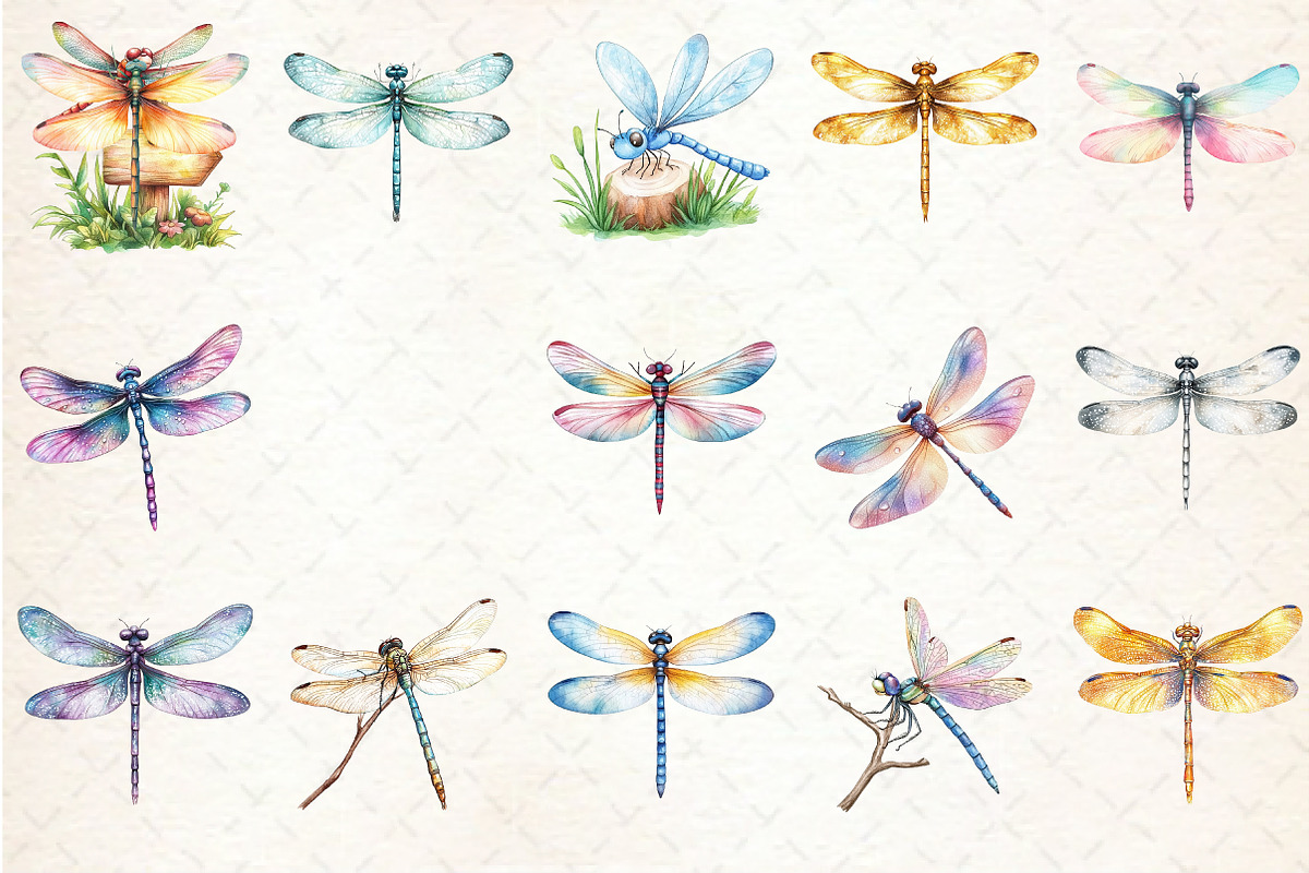 Summer Dragonfly Garden Clipart, an Illustration by Rose Art (Photo 2 of 4)