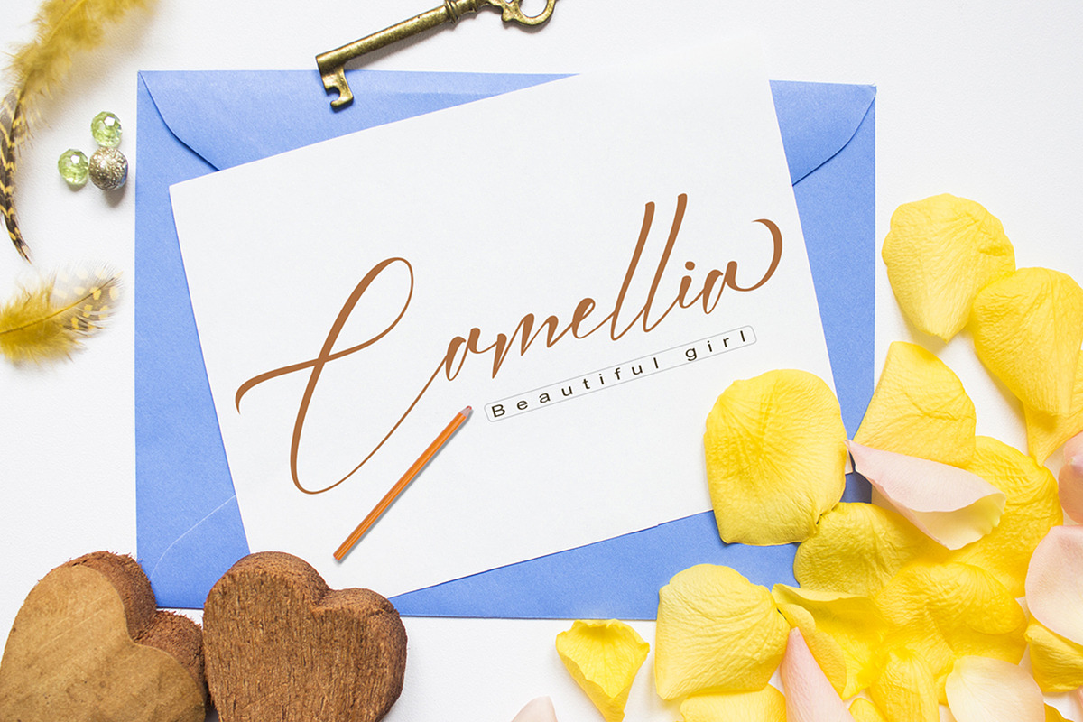 Knightley, a Script Font by PollemSt (Photo 3 of 9)
