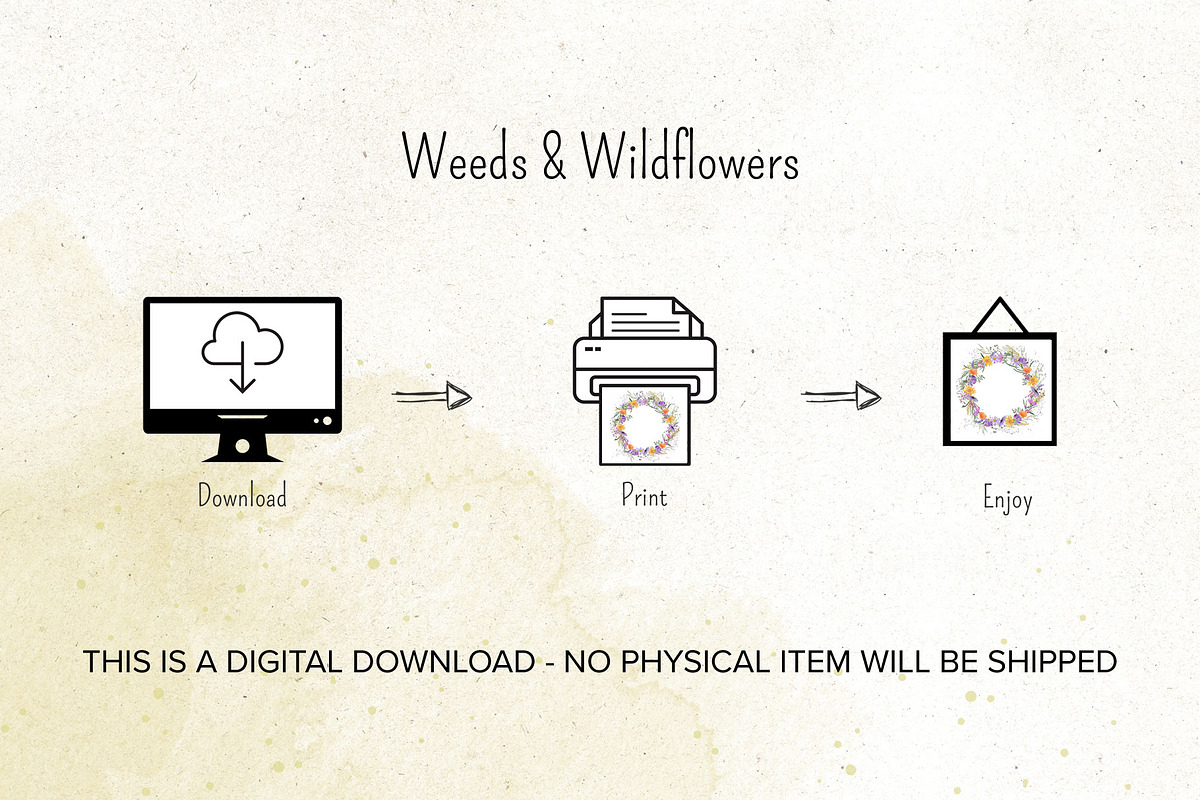 Weeds & Wildflowers Design Set, an Illustration by Maggie Stilwell Design (Photo 15 of 16)