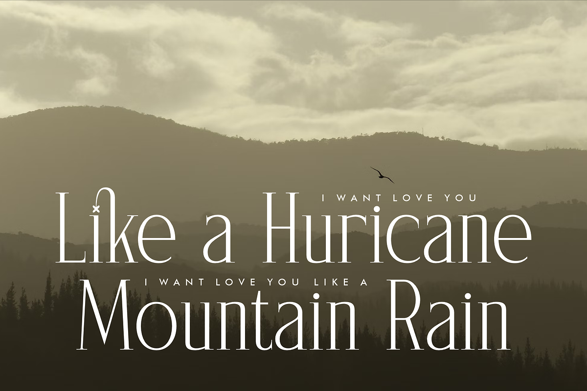 Saegathe Modern Serif Font, a Serif Font by Storytype Studio (Photo 7 of 15)