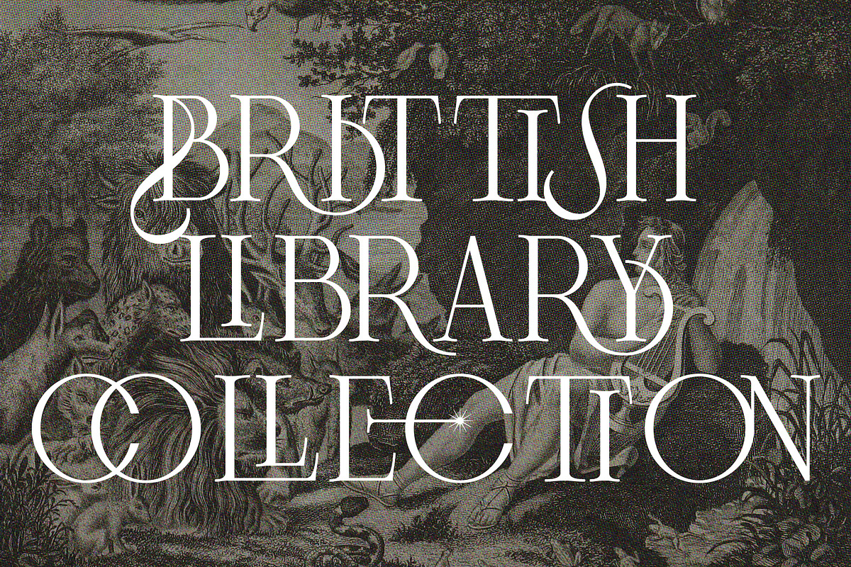 Frosty Garden - Elegant Retro Serif, a Serif Font by SilverStag Type Foundry (Photo 3 of 19)