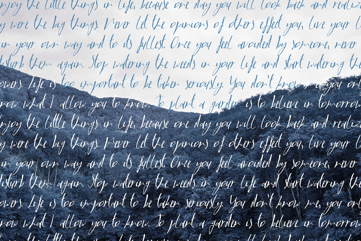 LaPayne Font, a Script Font by SophieSaxo (Photo 7 of 8)