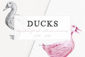 Hand drawn Ducks Illustrations