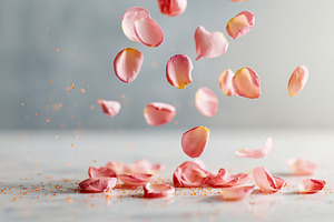 Delicate pink and blush rose petals falling gracefully on a smooth surface, a Photo by AlyaAnd