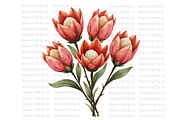 Dried Protea Bloom, a Decorative Illustration by Bloom Craft Creations (Thumbnail 9 of 10)