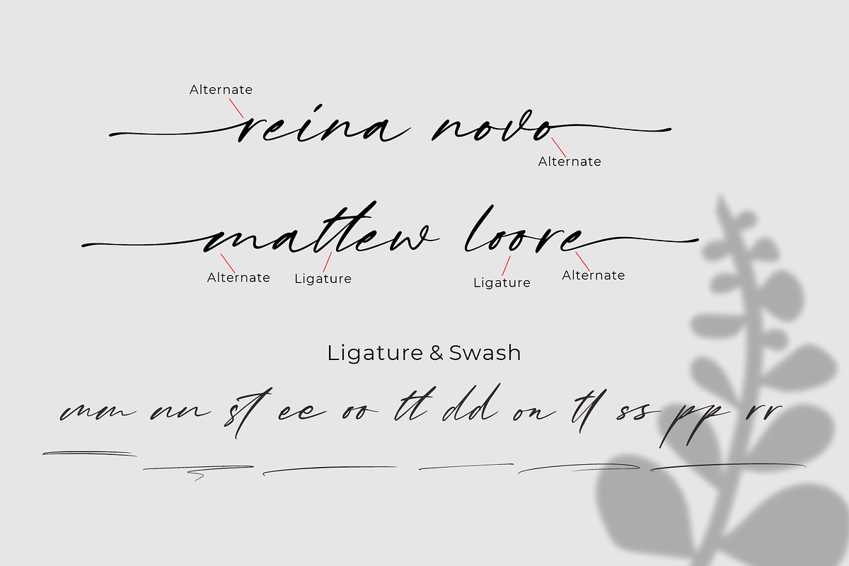 Kiss Me, a chic handwritten font, a Script Font by Motokiwo (Photo 3 of 10)
