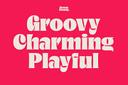 Megan Cloudy - Charming Serif, a Serif Font by Variatype (Thumbnail 5 of 10)