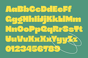 Chunko Bold - Sans Serif Font, a Sans Serif Font by Zarma Type (Thumbnail 10 of 13)