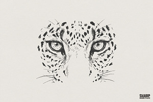 Leopard Eyes PNG, Wild Animal, an Illustration by SharpMarketplace