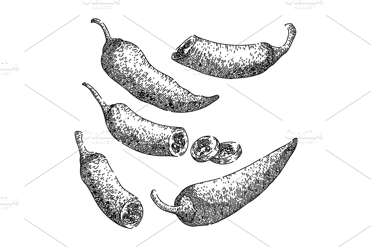 chili pepper set sketch hand drawn, a Food Illustration by pikepicture