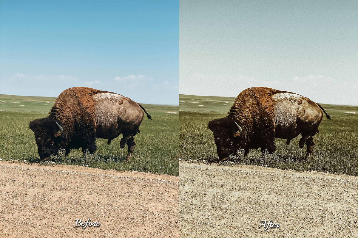 30 Countryside Lightroom Bundle, a Preset Add-On by 3Motional (Photo 8 of 11)