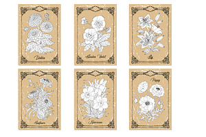 Big Set Of Vector Hand Drawn Flowers