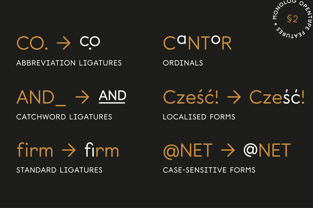 Monolog, a Sans Serif Font by Polytype (Photo 14 of 15)
