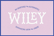 Wiley Decorative Latin & Greek Font, a Slab Serif Font by Molly Suber Thorpe (Thumbnail 2 of 16)