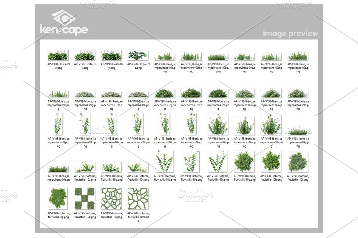 94 Assorted Plants Photo Overlays, a Nature Photo by KenScape (Photo 4 of 4)