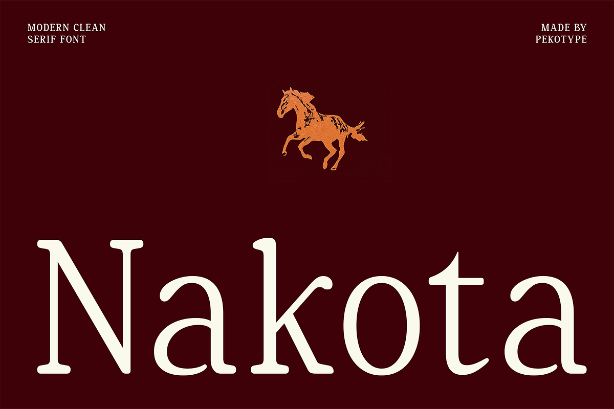 Nakota - Modern Clean Serif Font, a Serif Font by Pekotype (Photo 1 of 15)