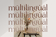 arasik _ modern serif ligatures, a Serif Font by Penatic Studio (Thumbnail 9 of 10)