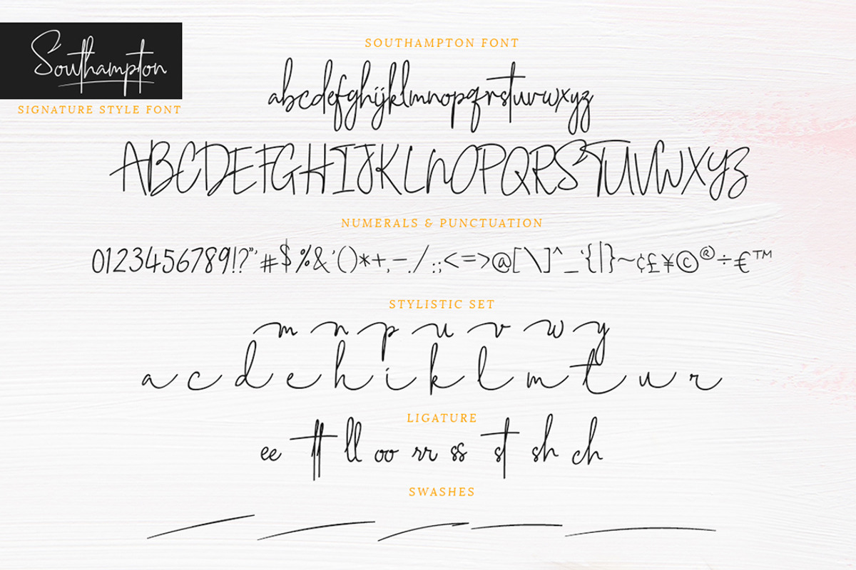 Southampton Signature Business Font, a Script Font by Creatype Studio (Photo 10 of 11)