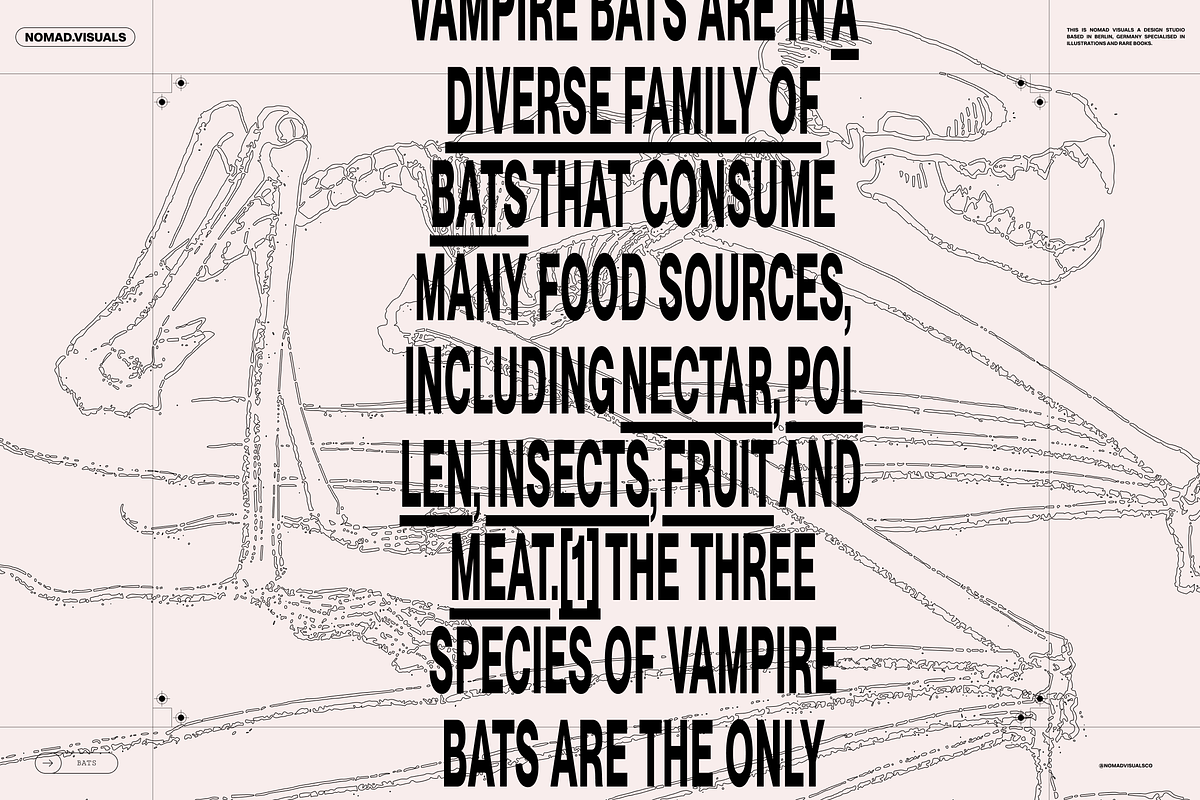 Halloween Special! Bats of the World, an Animal Illustration by Nomad Visuals (Photo 7 of 17)