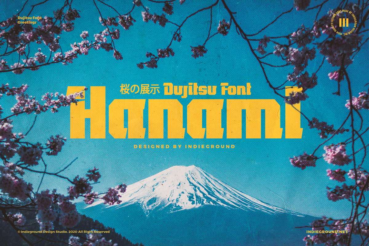 Dujitsu Font, a Sans Serif Font by Indieground Design Inc. (Photo 5 of 5)