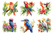 Tropical Birds Garden Clipart, an Icon by Dream Creation (Thumbnail 5 of 6)