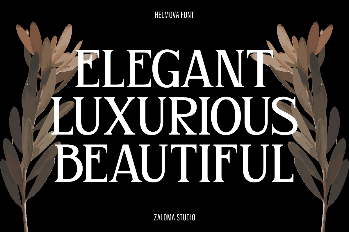 Helmova, a Serif Font by Zaloma Studio (Photo 2 of 18)