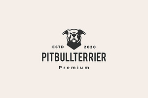 American Pitbull Terrier Hipster