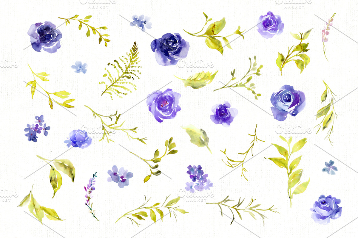 Watercolor Hand-painted Violet Roses, a Decorative Illustration by GraphicsDish (Photo 2 of 3)