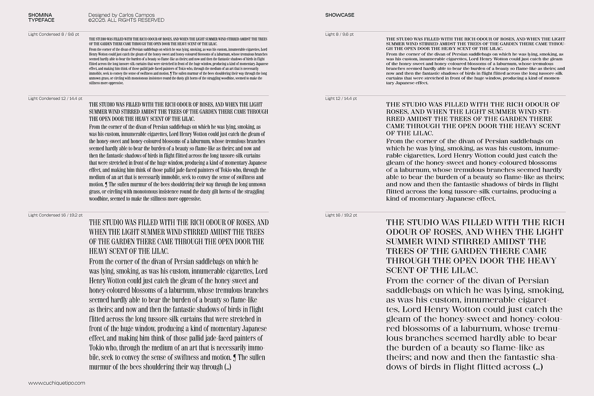 Shomina Font, a Serif Font by Cuchi, qué Tipo! Foundry (Photo 11 of 21)