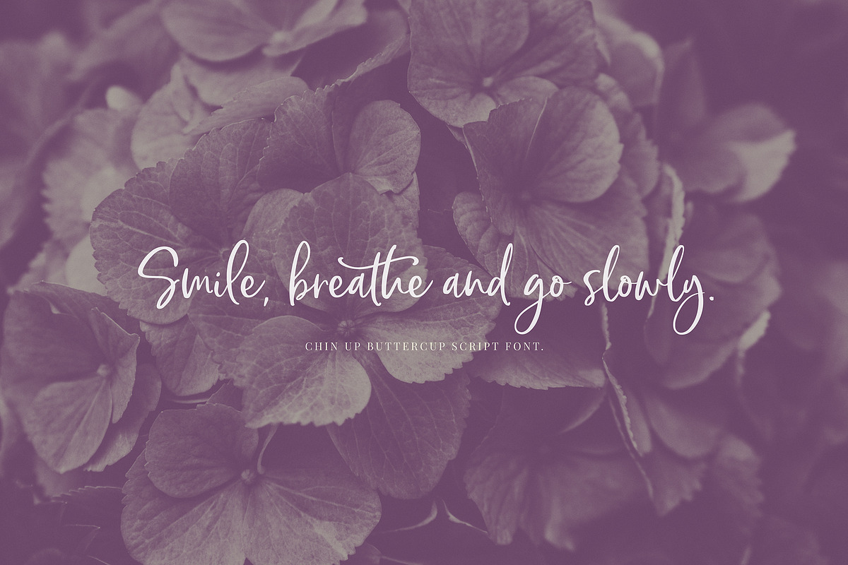 Chin Up Buttercup! Font Duo & Extras, a Script Font by Nicky Laatz (Photo 11 of 14)