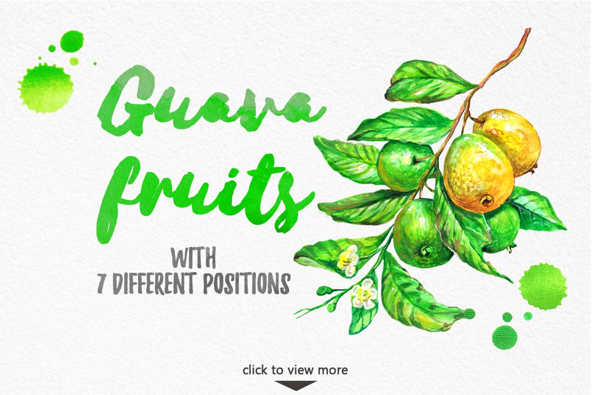 Watercolor Fruits, a Food Illustration by Graphobia (Photo 4 of 8)