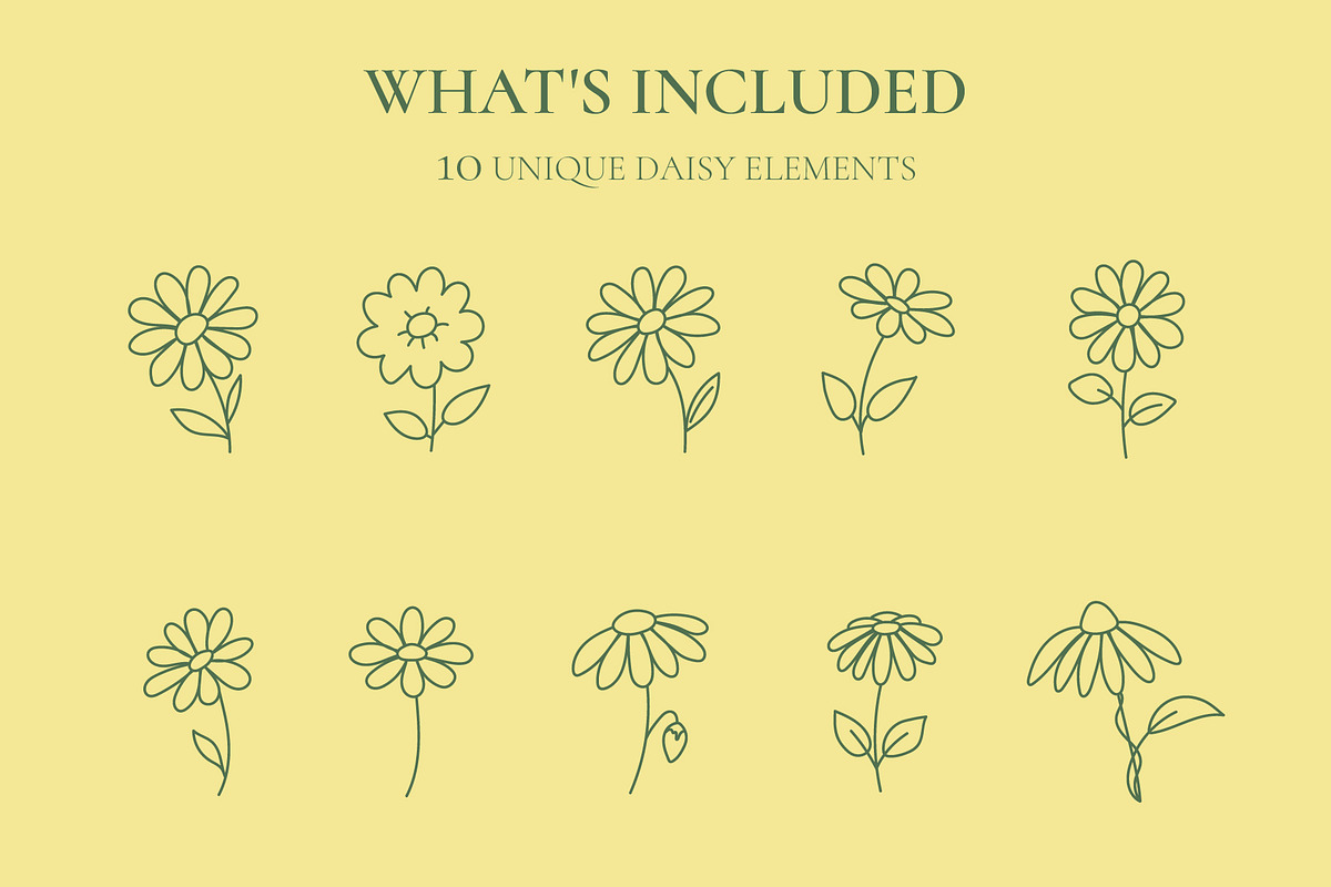 DAISY LINE ART SET, an Outline Icon by OREHOVKA (Photo 2 of 4)