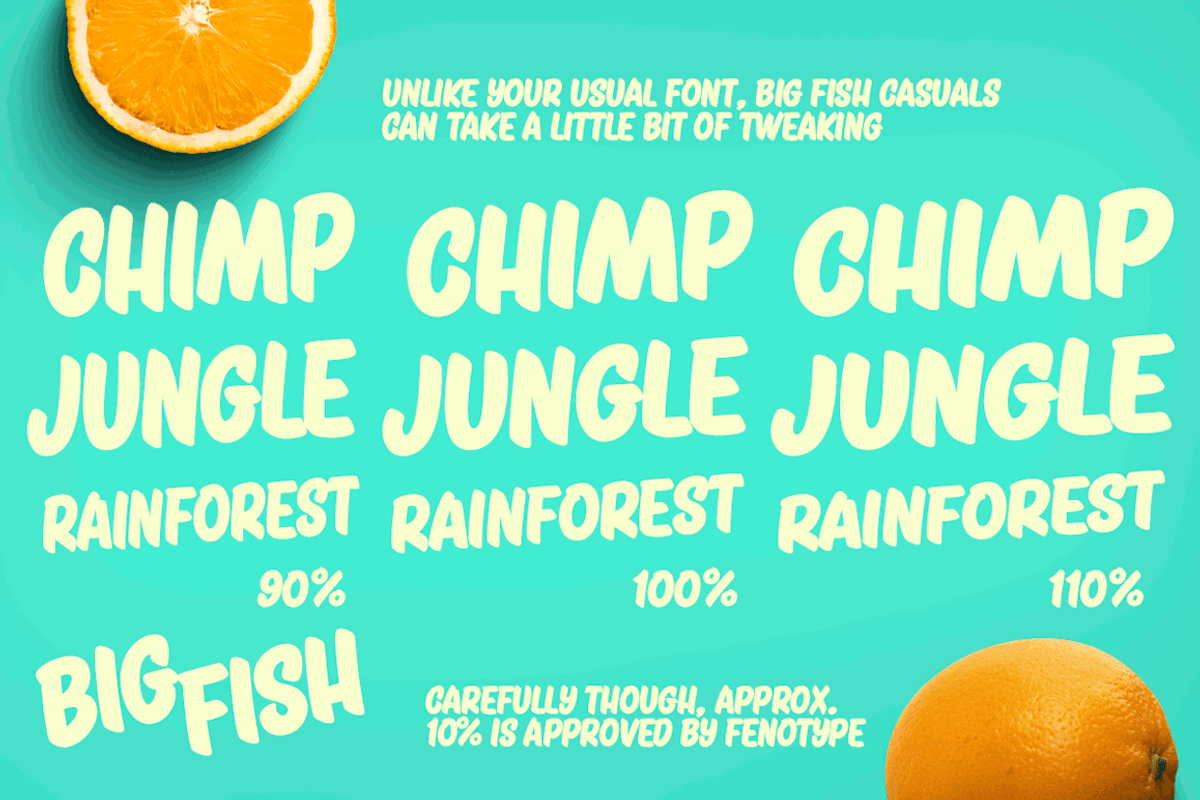 Big Fish Script + Caps + Extras, a Script Font by Fenotype (Photo 10 of 10)