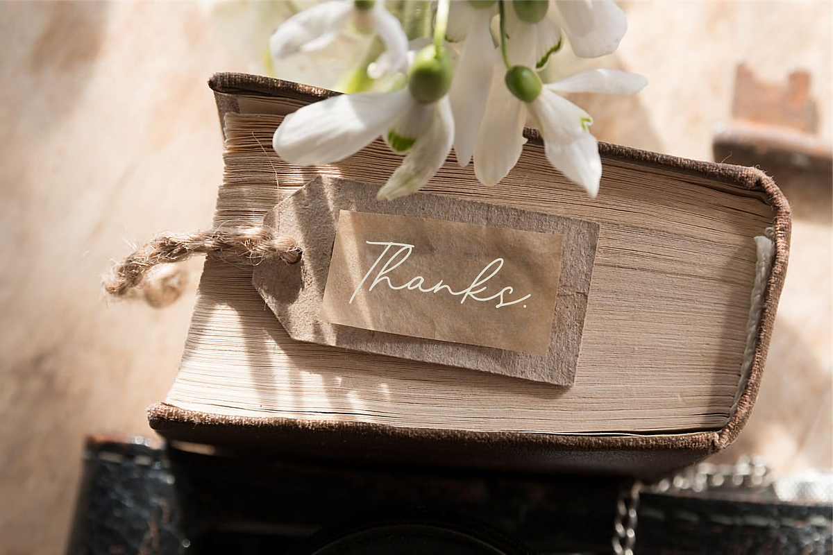 Farmhomes A Monoline Script, a Script Font by Allouse Studio (Photo 10 of 10)