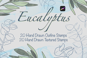 40 Eucalyptus Leaves Stamp Procreate