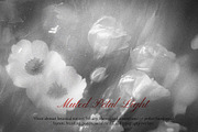 FLORAL Dusty Monochrome Backgrounds, a Background Graphic by Anzhelika (Thumbnail 2 of 10)