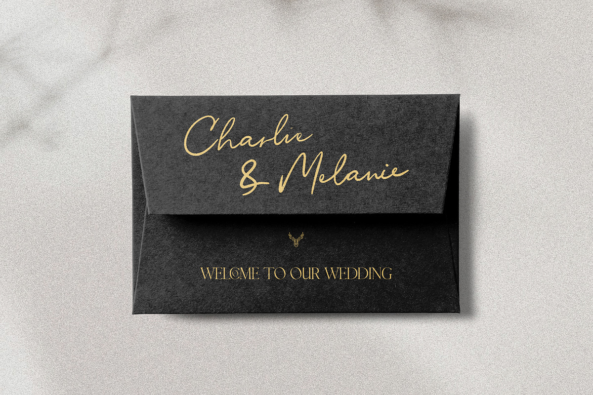 Riverside Lovers - Elegant Font Duo, a Serif Font by SilverStag Type Foundry (Photo 4 of 20)