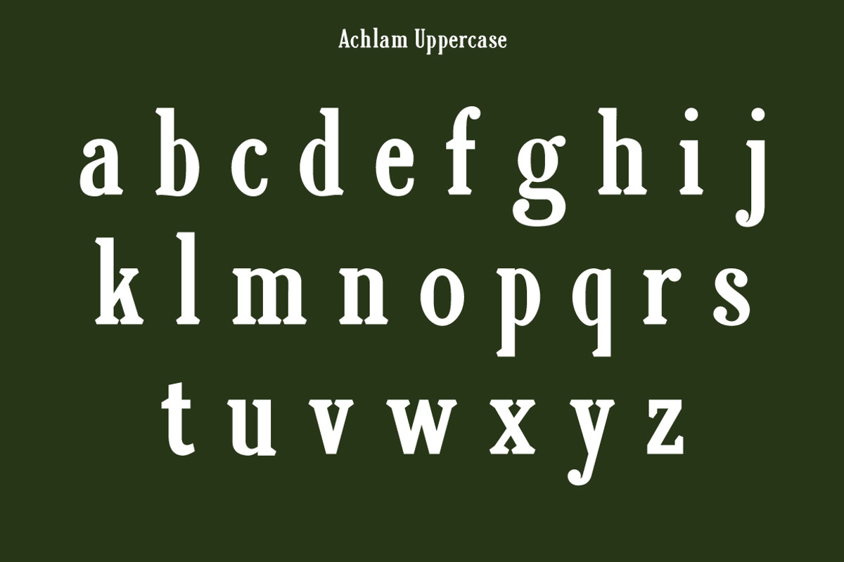 Achlam, a Serif Font by Nian Keun Studio (Photo 5 of 16)