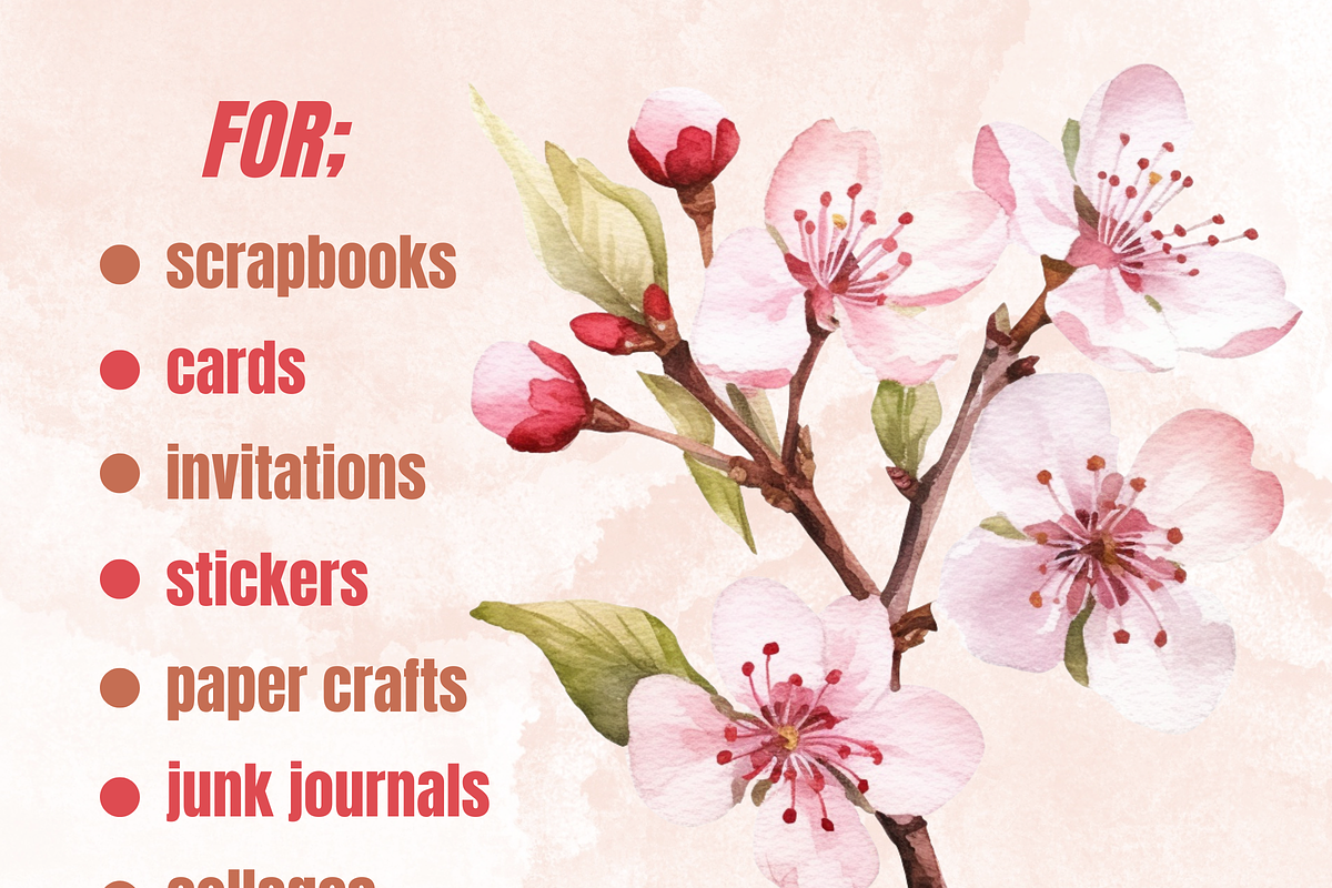 Watercolor Cherry Blossom Collection, a Decorative Illustration by GiraffeCreative (Photo 3 of 9)