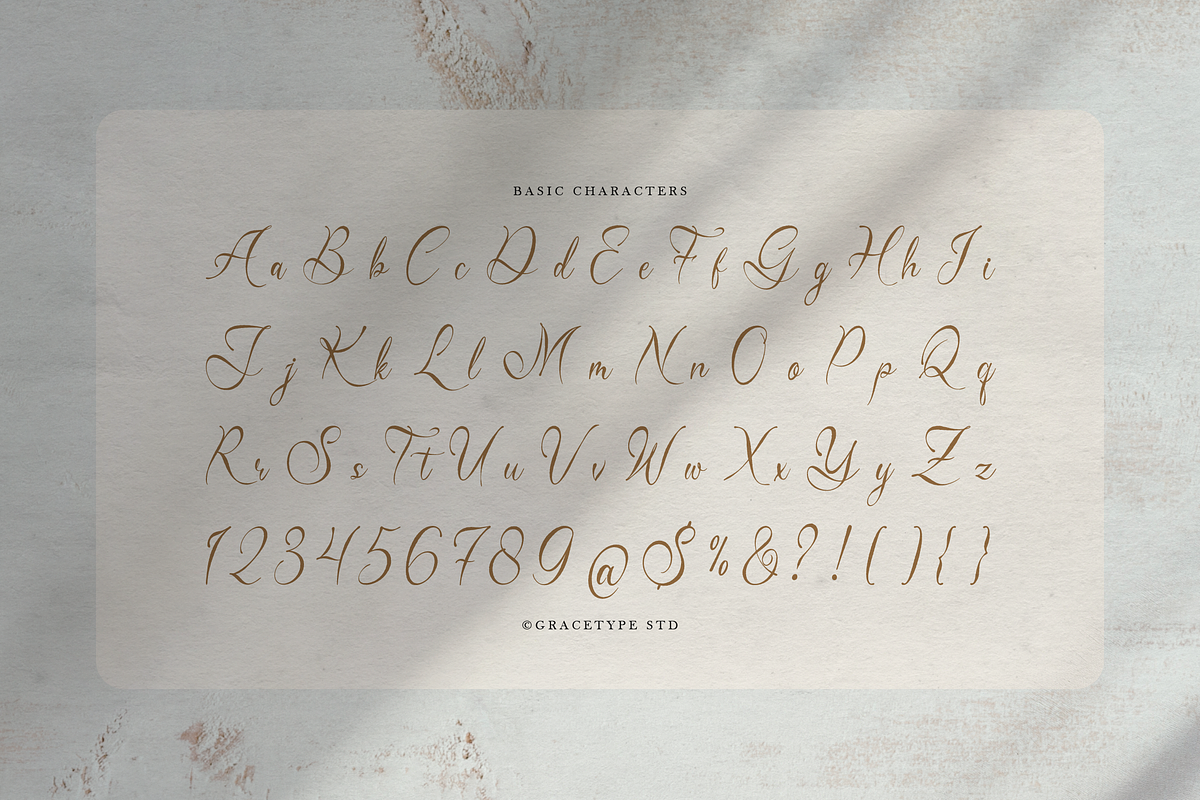 Del Lante Elegant Calligraphy Script, a Script Font by gracetype_studio (Photo 10 of 12)
