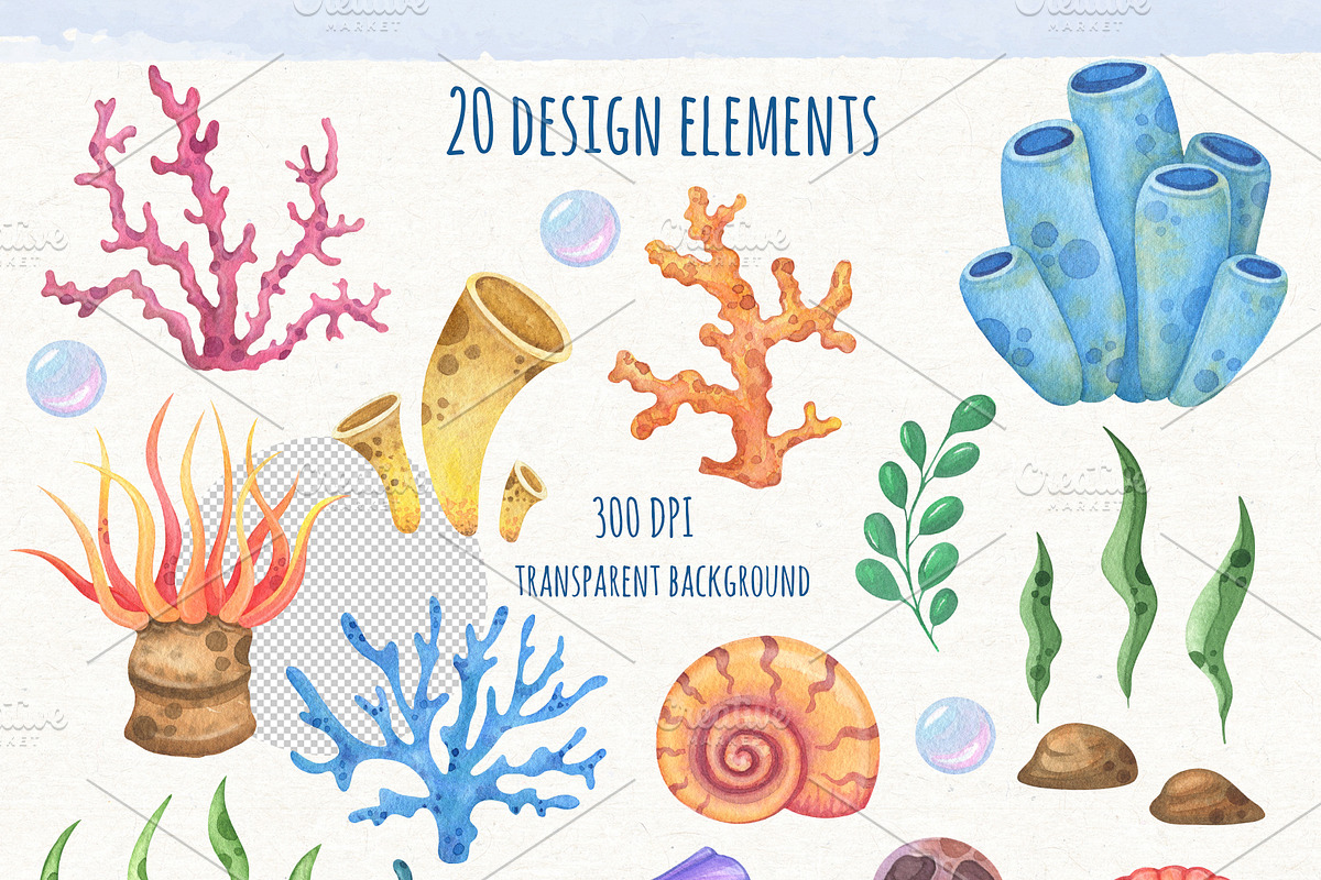 Watercolor Ocean Animals Clipart, an Animal Illustration by ekossa_art (Photo 3 of 4)