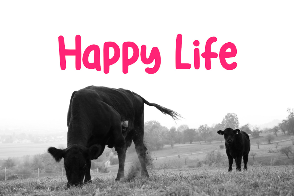 Red Angus Font, a Sans Serif Font by YandiDesigns (Photo 3 of 4)