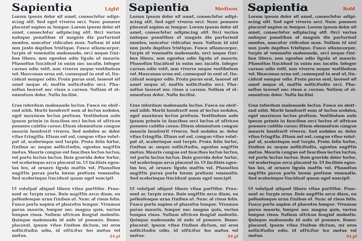 Sapientia - Serif Font Family, a Serif Font by Artistic & Unique (Photo 12 of 12)