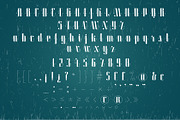 Roadster font family + Extras, a Script Font by Fontop (Thumbnail 16 of 26)